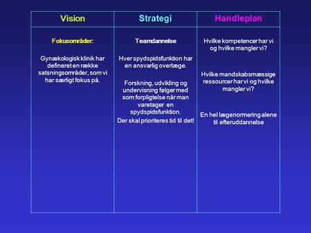 Vision Strategi Handleplan Fokusområder: