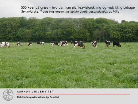 A A R H U S U N I V E R S I T E T Det Jordbrugsvidenskabelige Fakultet 500 køer på græs – hvordan kan planteavlsforskning og –udvikling bidrage Seniorforsker.