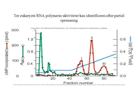 Tre eukaryote RNA polymerse aktiviteter kan identificeres efter partiel oprensning.