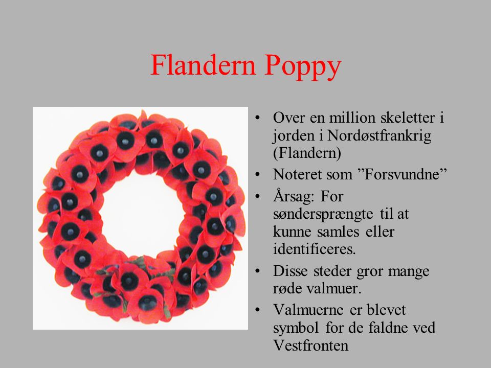 Flandern Poppy Over en million skeletter i jorden i Nordøstfrankrig (Flandern) Noteret som Forsvundne
