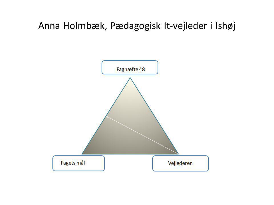 Anna Holmbæk, Pædagogisk It-vejleder i Ishøj