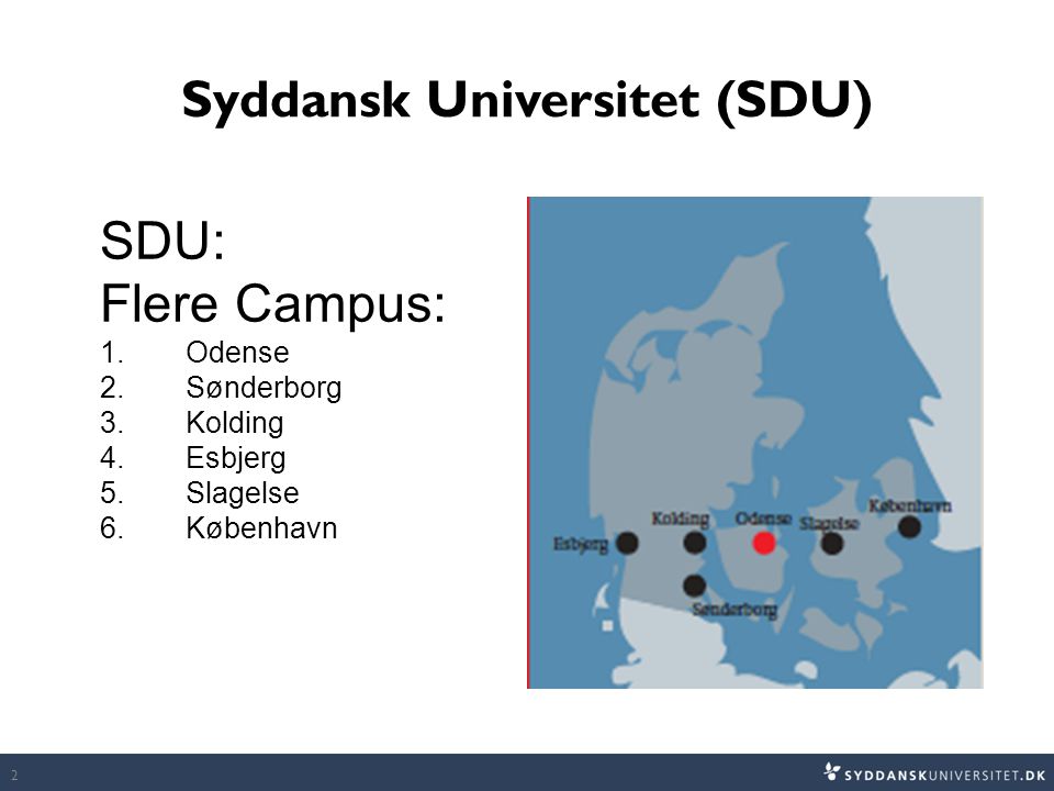 Syddansk Universitet (SDU)