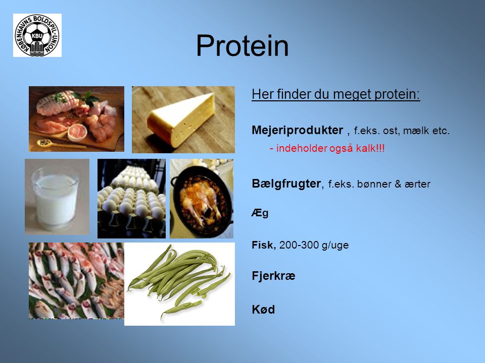 Protein Her finder du meget protein: - indeholder også kalk!!!