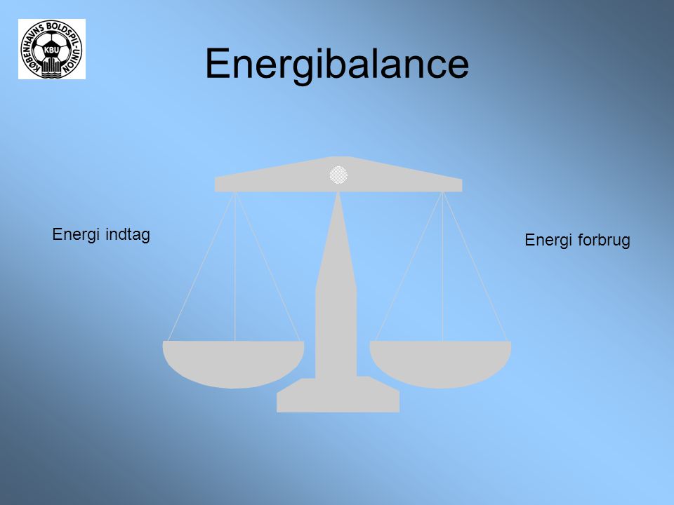 Energibalance Energi indtag Energi forbrug