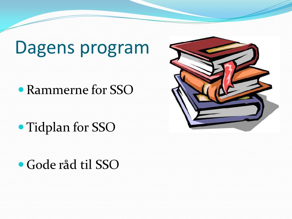 Dagens program Rammerne for SSO Tidplan for SSO Gode råd til SSO