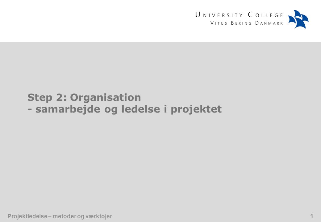 Step 2: Organisation - samarbejde og ledelse i projektet