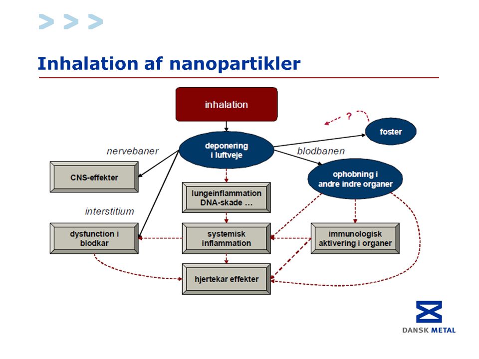 Inhalation af nanopartikler