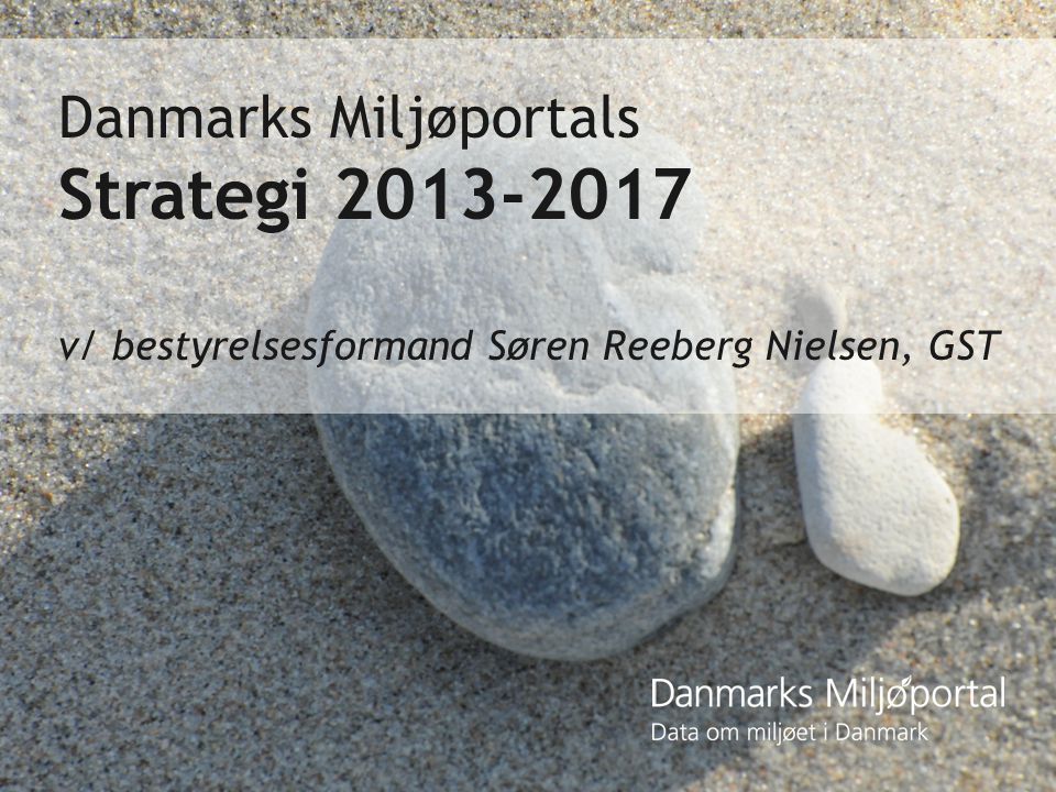 Danmarks Miljøportals Strategi v/ bestyrelsesformand Søren Reeberg Nielsen, GST
