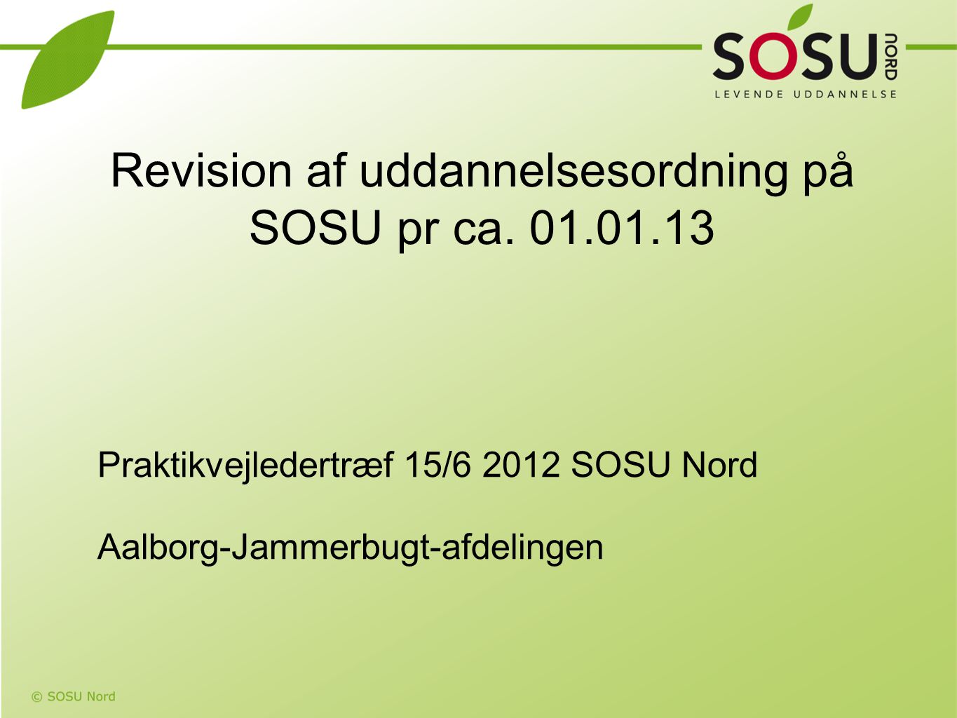 Revision af uddannelsesordning på SOSU pr ca