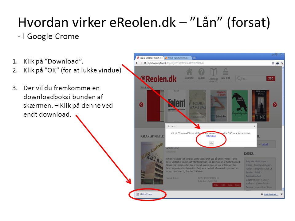 Hvordan virker eReolen.dk – Lån (forsat) - I Google Crome