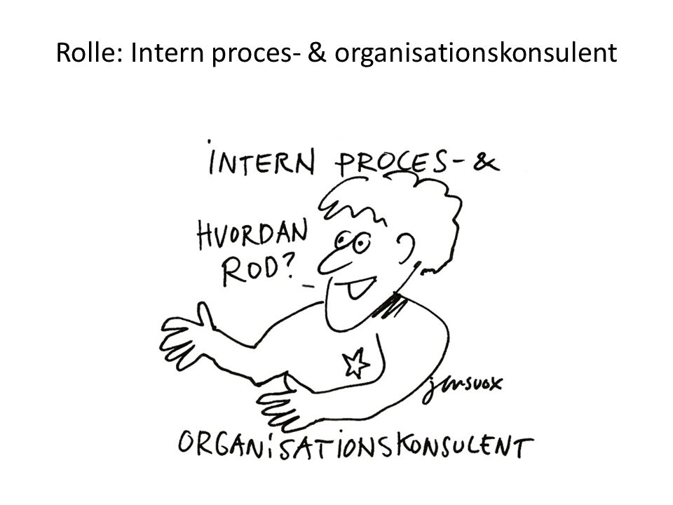 Rolle: Intern proces- & organisationskonsulent