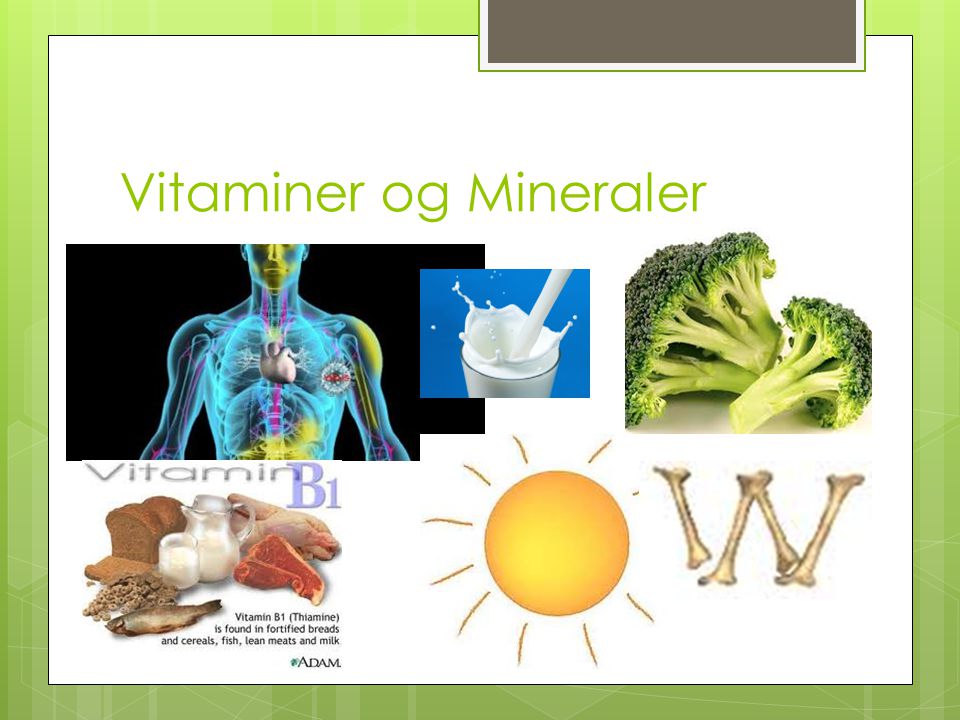 Vitaminer og Mineraler