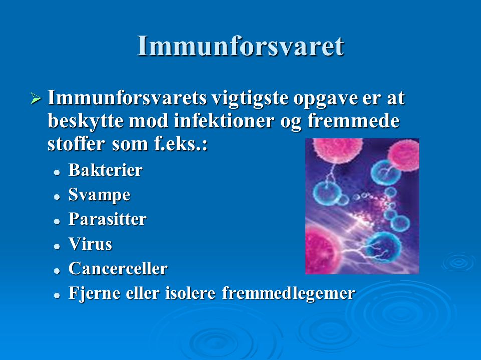 Immunforsvaret Immunforsvarets vigtigste opgave er at beskytte mod infektioner og fremmede stoffer som f.eks.: