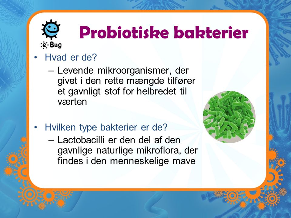 Probiotiske bakterier