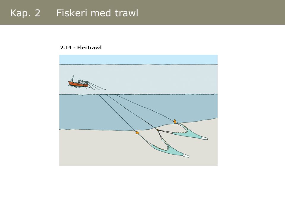 Kap. 2 Fiskeri med trawl Flertrawl