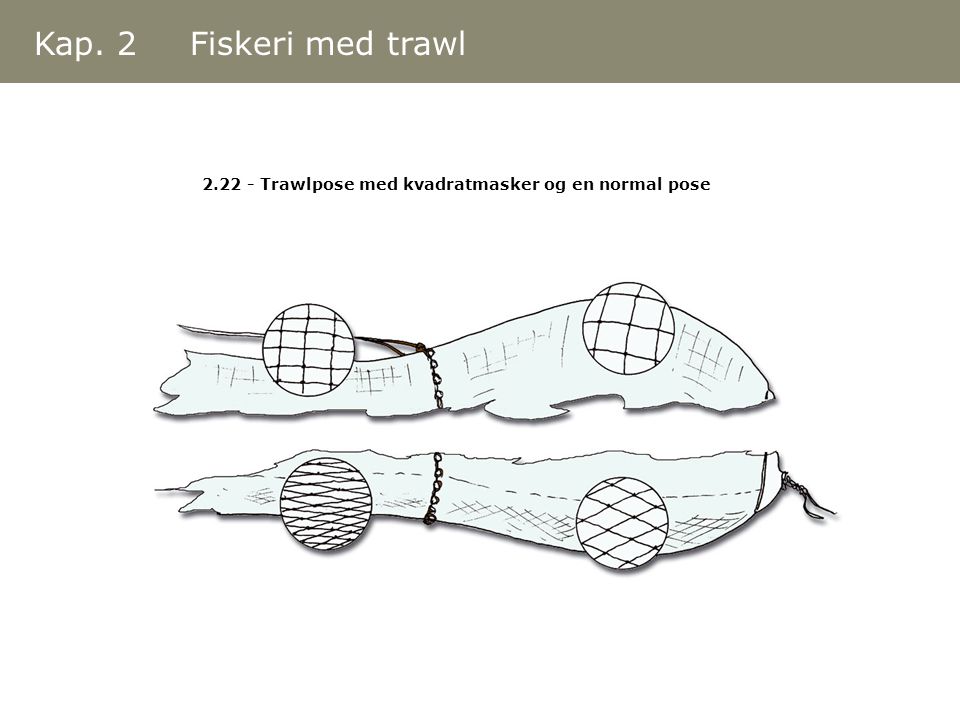 Kap. 2 Fiskeri med trawl Trawlpose med kvadratmasker og en normal pose