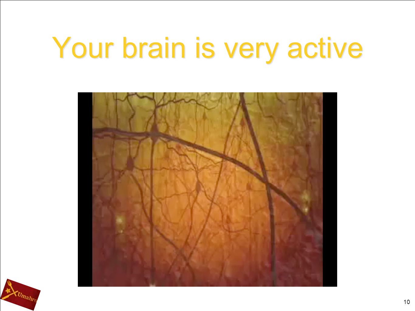 Your brain is very active
