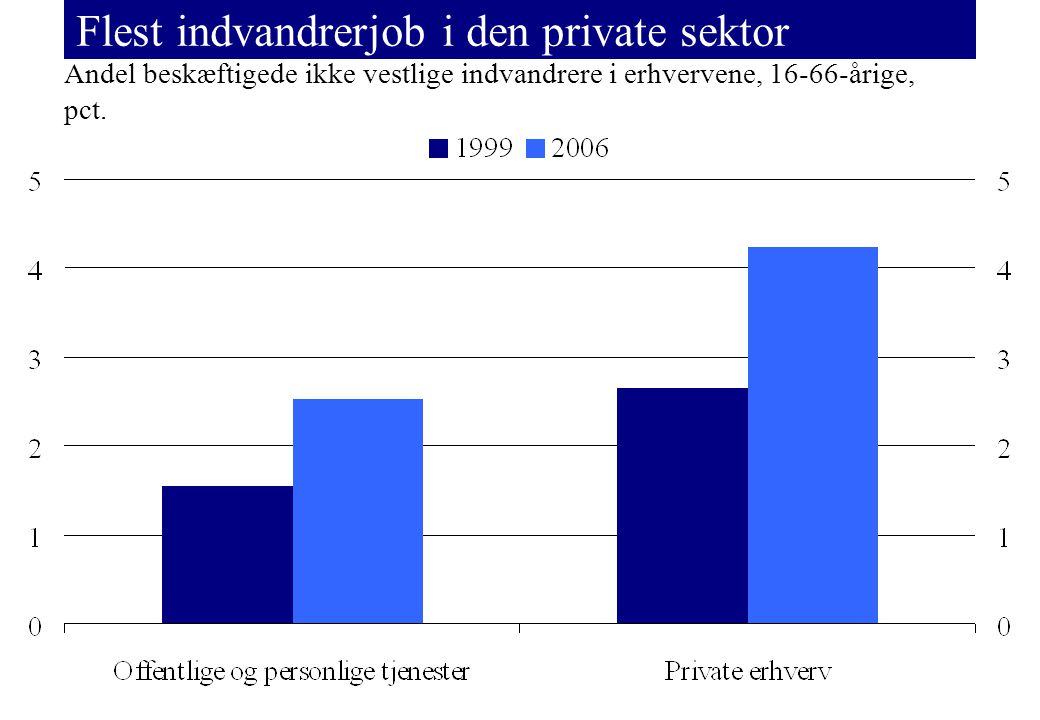 Flest indvandrerjob i den private sektor