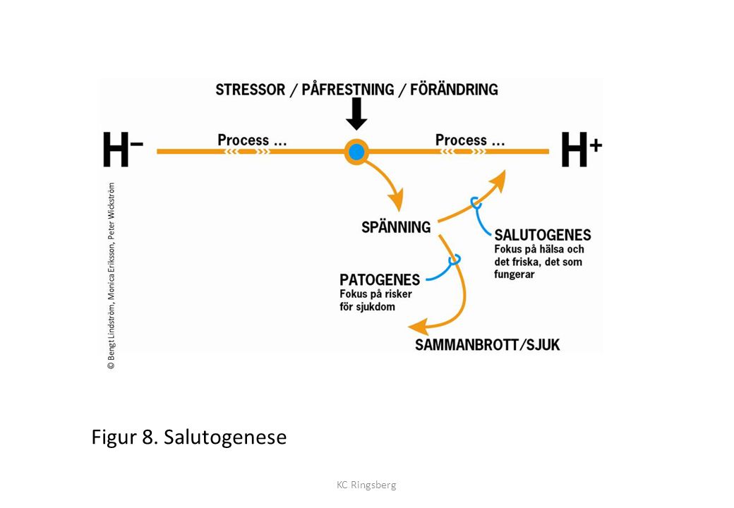 Figur 8. Salutogenese KC Ringsberg