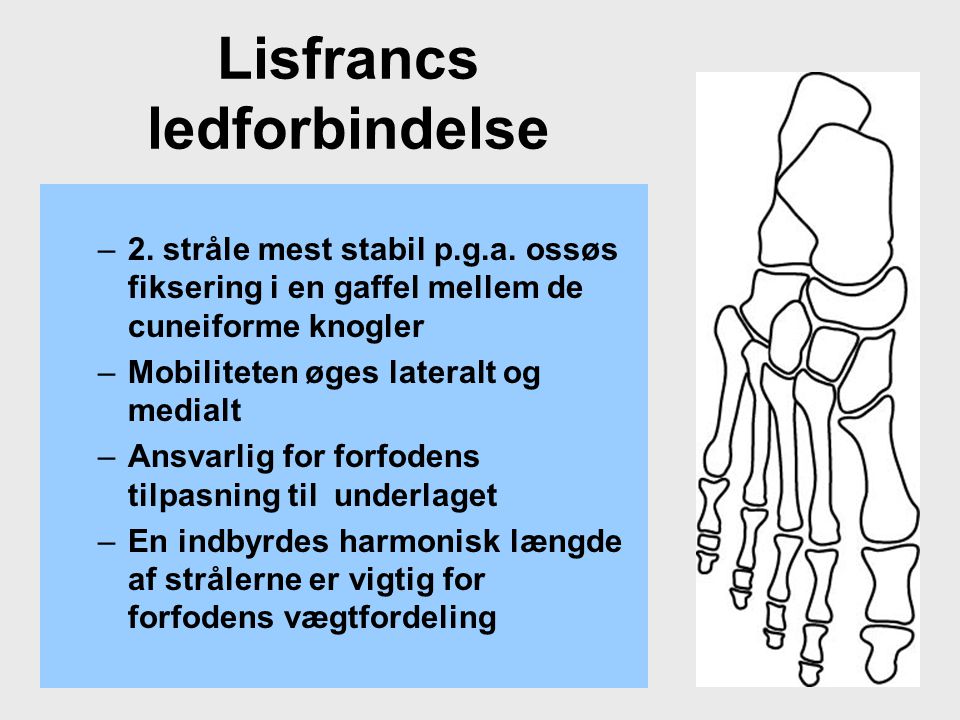 Lisfrancs ledforbindelse