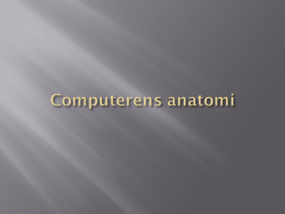 Computerens anatomi