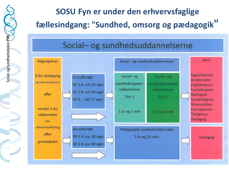 SOSU Fyn er under den erhvervsfaglige fællesindgang: Sundhed, omsorg og pædagogik