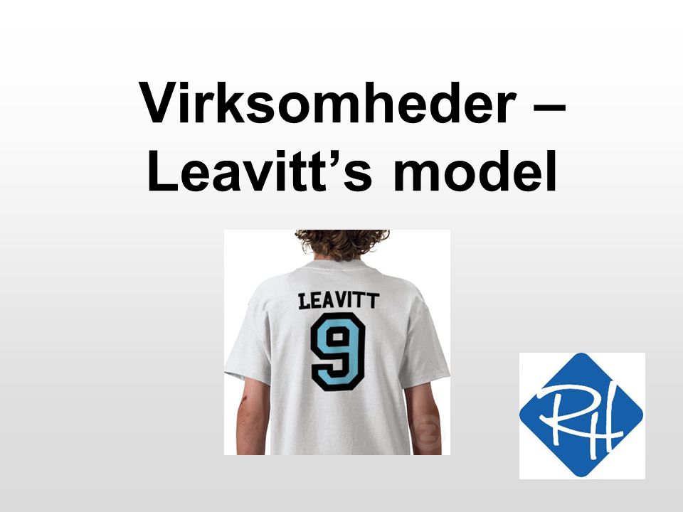 Virksomheder – Leavitt’s model