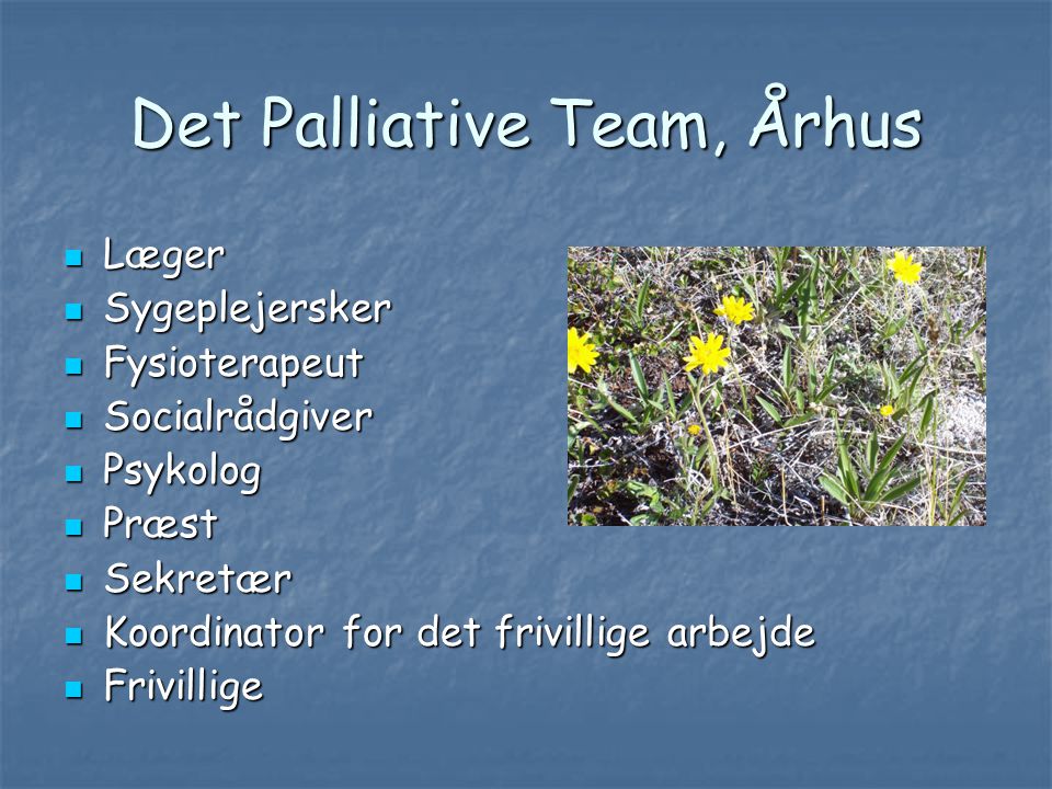Det Palliative Team, Århus