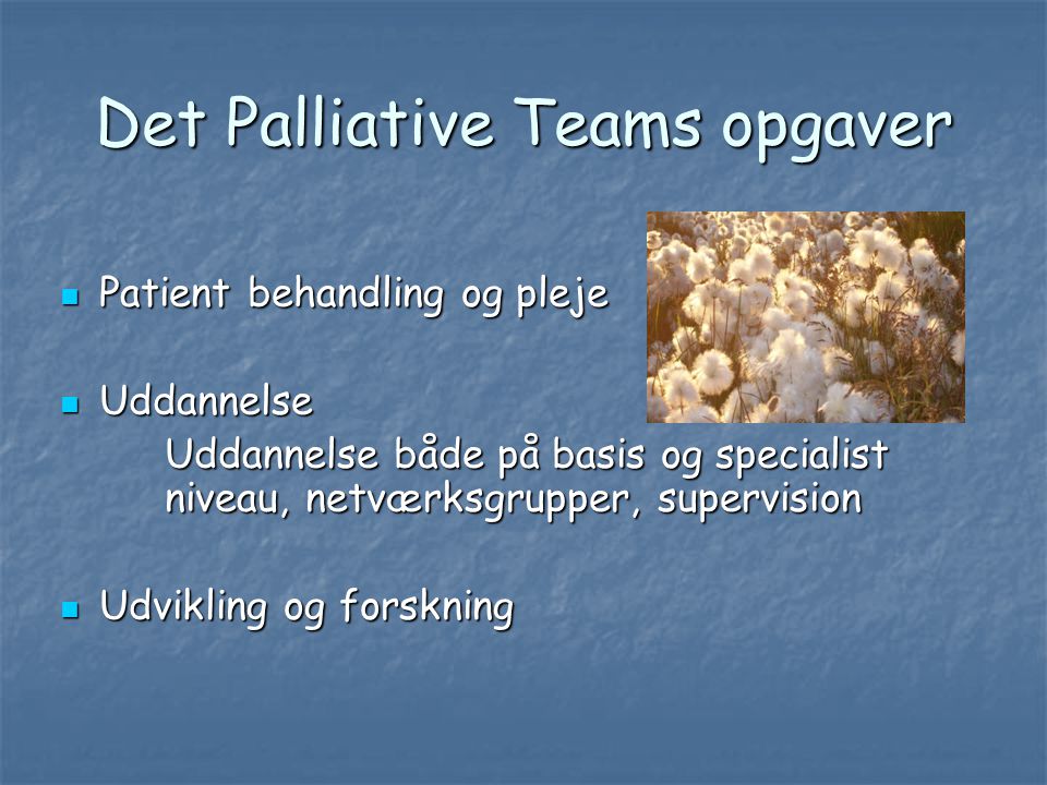 Det Palliative Teams opgaver