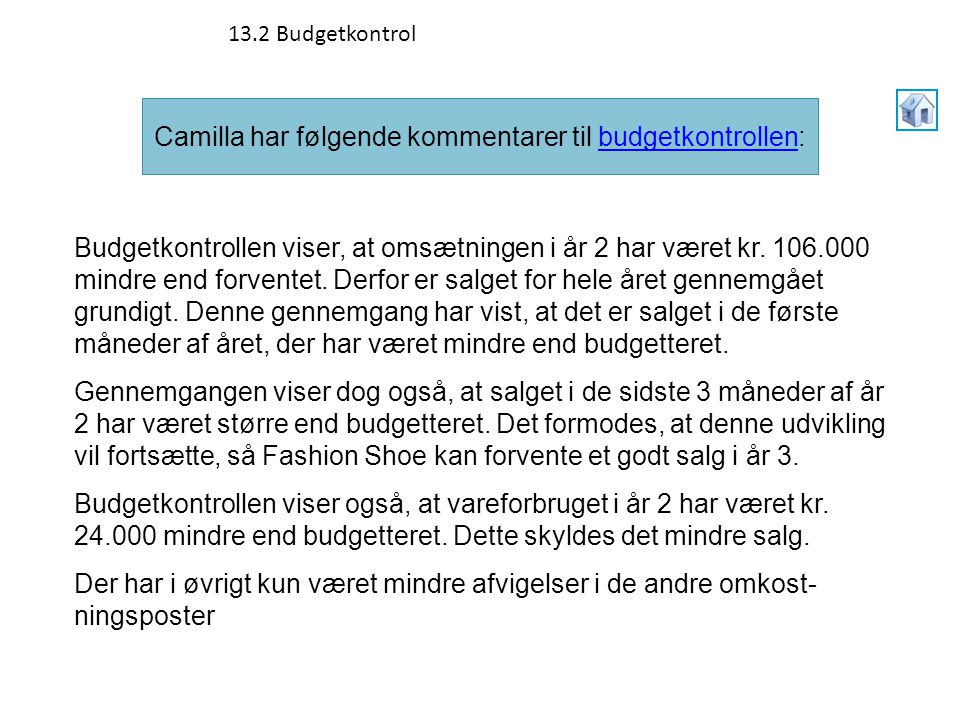 Camilla har følgende kommentarer til budgetkontrollen: