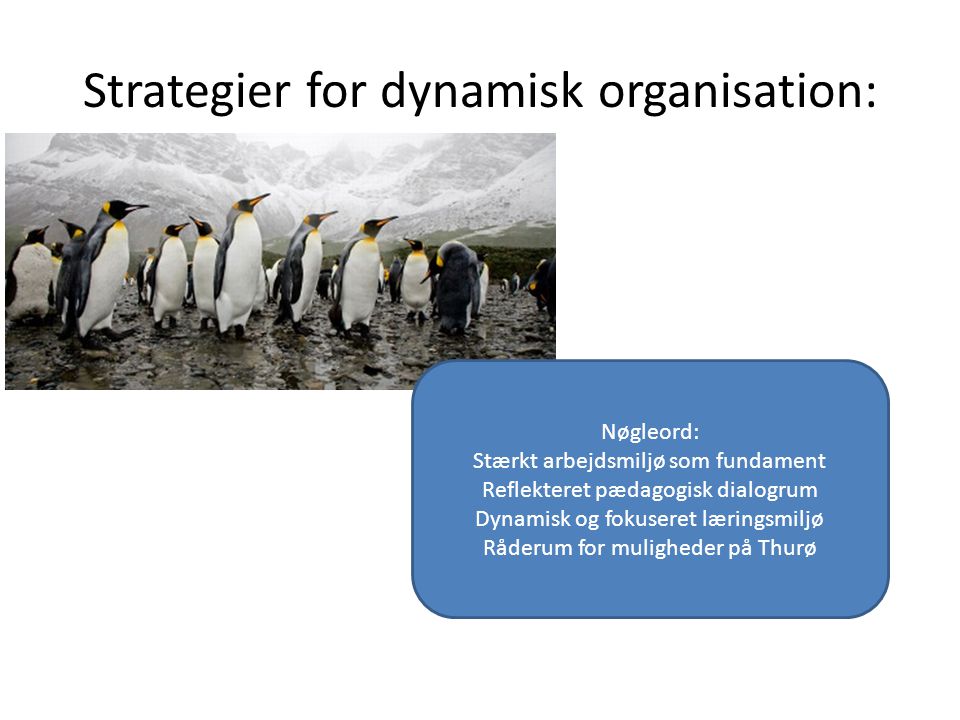 Strategier for dynamisk organisation: