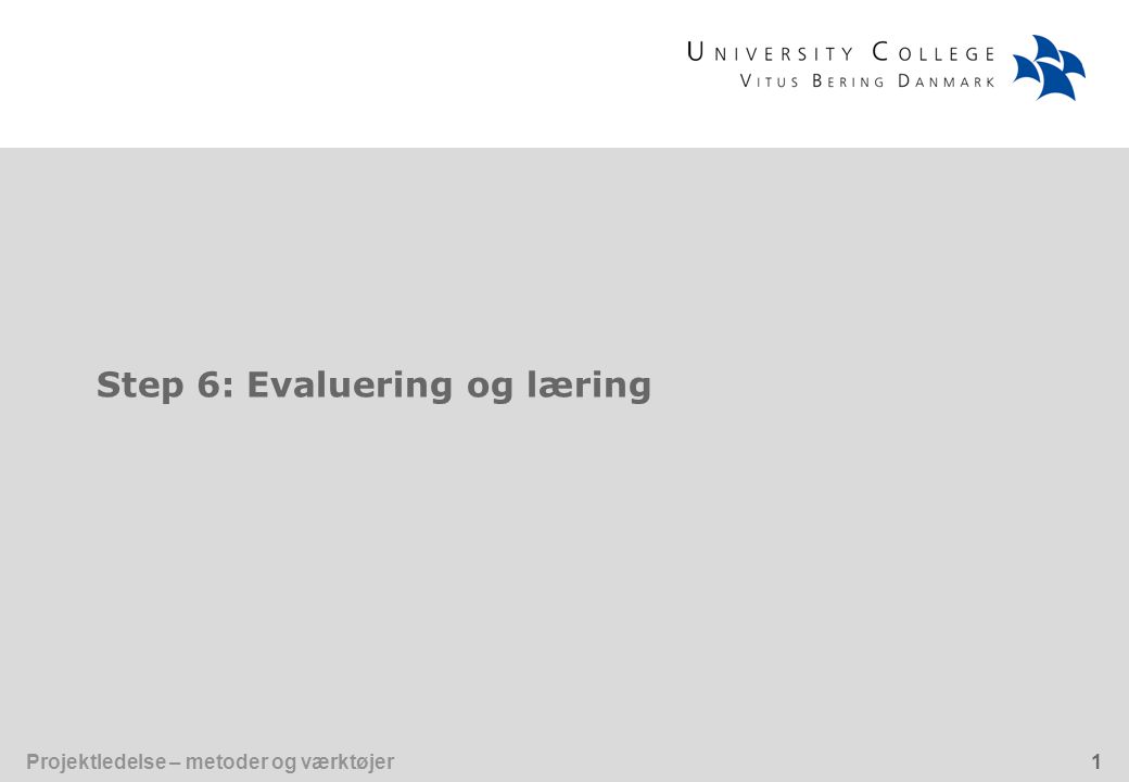 Step 6: Evaluering og læring