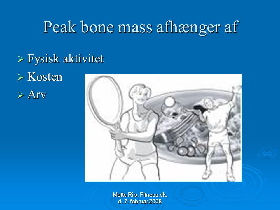 Peak bone mass afhænger af