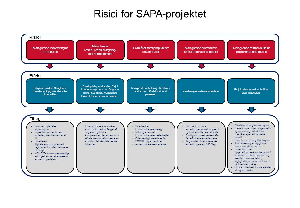 Risici for SAPA-projektet