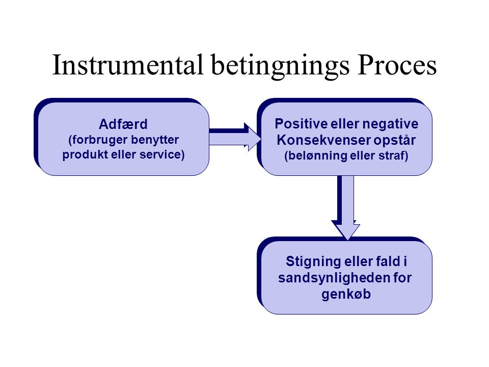 Instrumental betingnings Proces