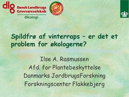 Spildfrø af vinterraps – er det et problem for økologerne? Ilse A. Rasmussen Afd. for Plantebeskyttelse Danmarks JordbrugsForskning Forskningscenter Flakkebjerg.