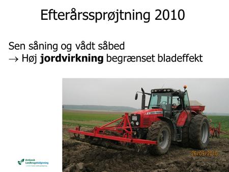 Efterårssprøjtning 2010 Sen såning og vådt såbed  Høj jordvirkning begrænset bladeffekt.