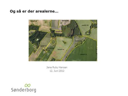 Og så er der arealerne… Jane Ruby Hansen 12. Juni 2012.