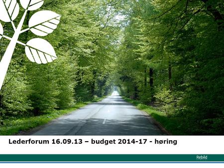 Lederforum 16.09.13 – budget 2014-17 - høring. Basisbudget 2014-17.
