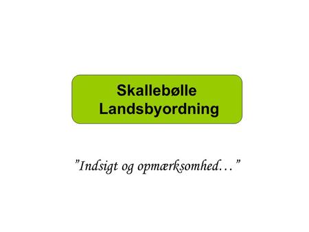 Skallebølle Landsbyordning ”Indsigt og opmærksomhed…”