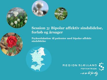 Session 3: Bipolar affektiv sindslidelse, forløb og årsager Psykoedukation til patienter med bipolar affektiv sindslidelse.