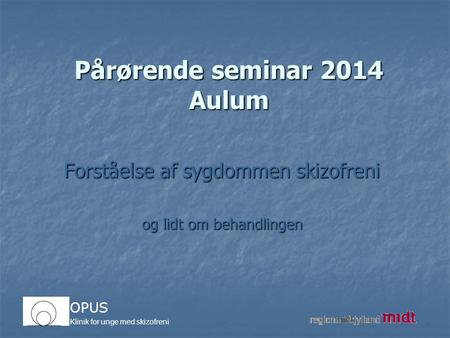 Pårørende seminar 2014 Aulum