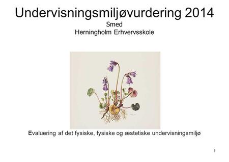 Undervisningsmiljøvurdering 2014 Smed Herningholm Erhvervsskole Evaluering af det fysiske, fysiske og æstetiske undervisningsmiljø 1.