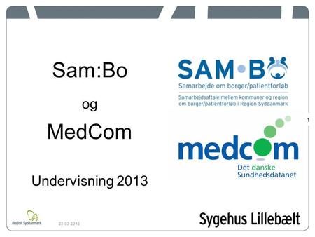 Sam:Bo og MedCom Undervisning 2013