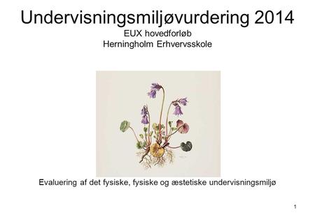 Undervisningsmiljøvurdering 2014 EUX hovedforløb Herningholm Erhvervsskole Evaluering af det fysiske, fysiske og æstetiske undervisningsmiljø 1.