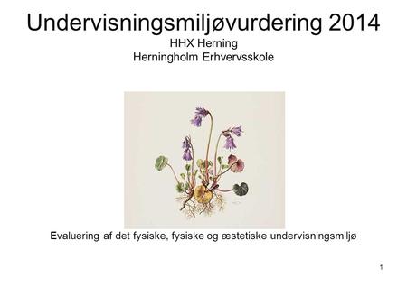 Undervisningsmiljøvurdering 2014 HHX Herning Herningholm Erhvervsskole Evaluering af det fysiske, fysiske og æstetiske undervisningsmiljø 1.