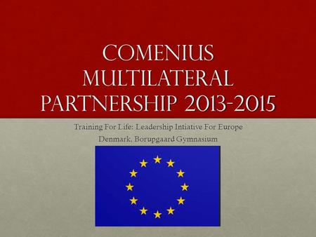 Comenius Multilateral Partnership 2013-2015 Training For Life: Leadership Intiative For Europe Denmark, Borupgaard Gymnasium.