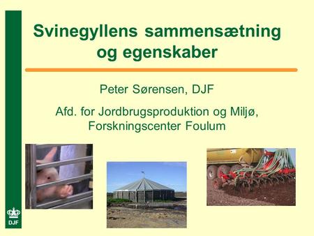 DJF Svinegyllens sammensætning og egenskaber Peter Sørensen, DJF Afd. for Jordbrugsproduktion og Miljø, Forskningscenter Foulum.