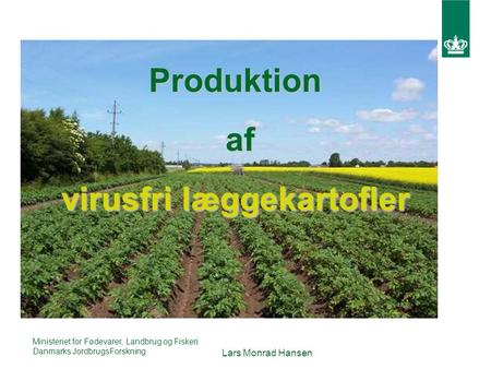 Ministeriet for Fødevarer, Landbrug og Fiskeri Danmarks JordbrugsForskning Lars Monrad Hansen Produktion af af virusfri læggekartofler.