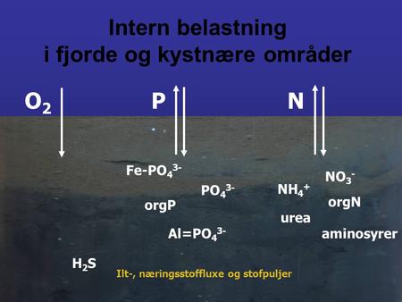 Fe-PO 4 3- orgP PO 4 3- Al=PO 4 3- NH 4 + orgN NO 3 - urea aminosyrer NPO2O2 H2SH2S Ilt-, næringsstoffluxe og stofpuljer Intern belastning i fjorde og.